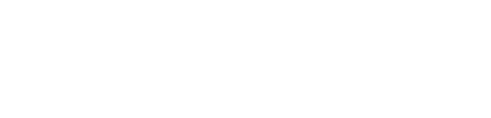 Disruption Advisors