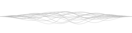 Voice waveform